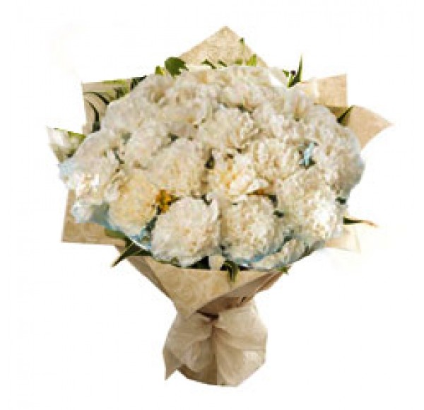 Tribute White Carnations Collection